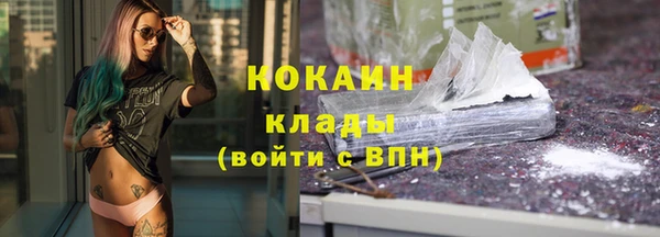 твердый Ладушкин