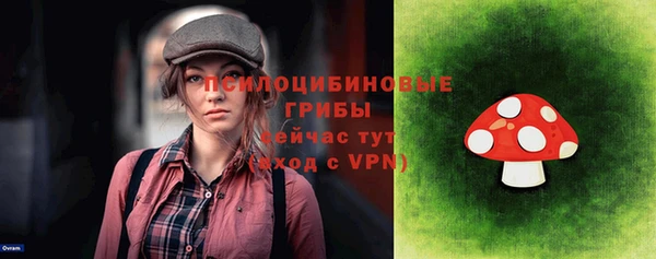 твердый Ладушкин