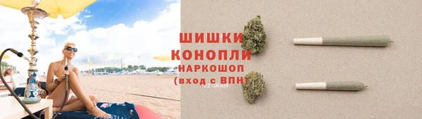 твердый Ладушкин