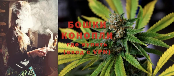 твердый Ладушкин