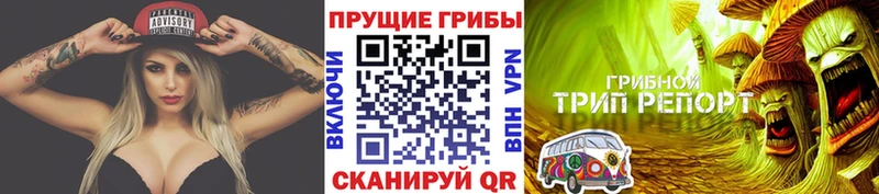 Купить закладки  Яхрома  Галлюциногенные грибы Psilocybine cubensis 